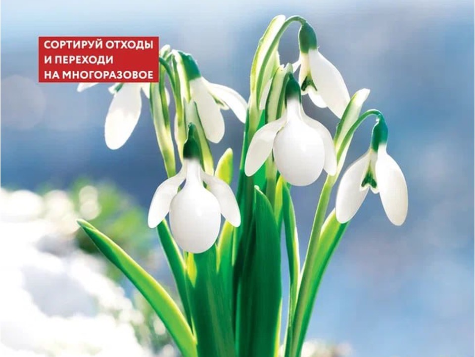 Экологи призывают граждан отказаться от использования пластика.