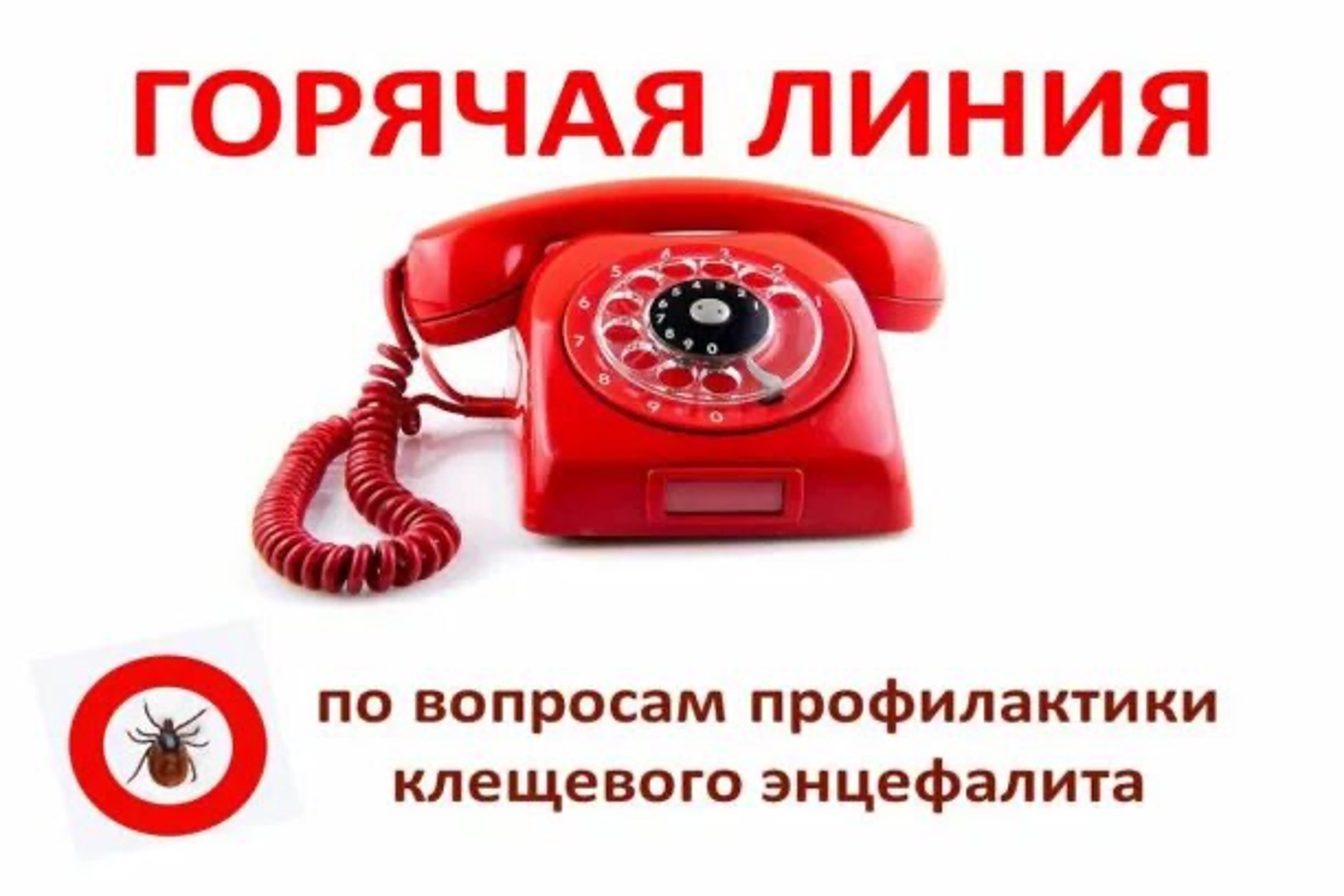 Открыта горячая линия по вопросам профилактике клещевых инфекций.
