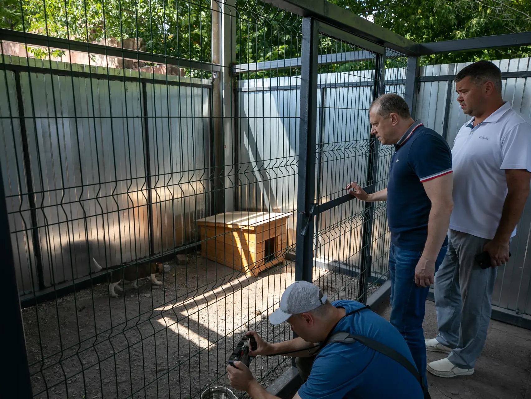 Усилена работа по отлову и стерилизации безнадзорных животных.