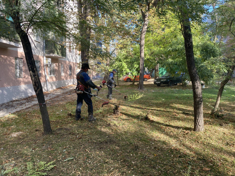 УЖКХ АГО Мариуполь публикует план покоса травы во дворах многоэтажек. УЖКХ АГО Мариуполь публикует план покоса травы во дворах многоэтажек.